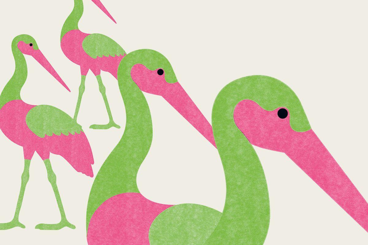 »Wenn ein immer größerer Teil der Bevölkerung sich dem Ende seines Lebens nähert, laufen wir Gefahr, dass sich eine geradezu epidemische politische Kurzsichtigkeit breitmacht.«